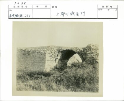 风化砖桥裂缝杂草景观.jpg