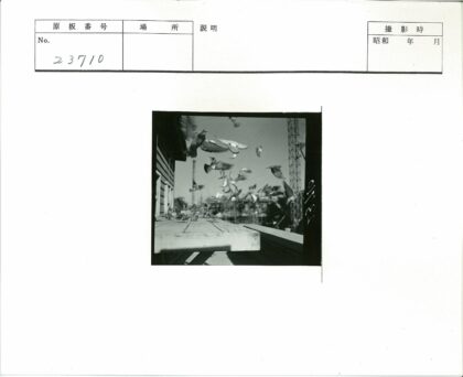 飞翔的鸽子与城市建筑.jpg