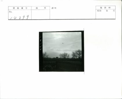 飞鸟树影建筑剪影.jpg