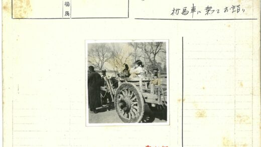 马拉木车冬日乡村景.jpg