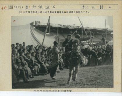 马术杂技表演现场.jpg