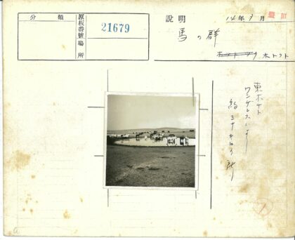 马群池塘多云田野.jpg