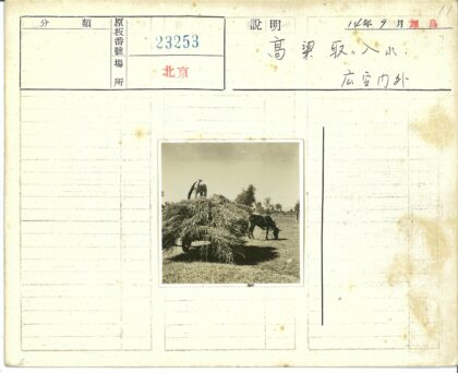 马车上的男人与草堆.jpg