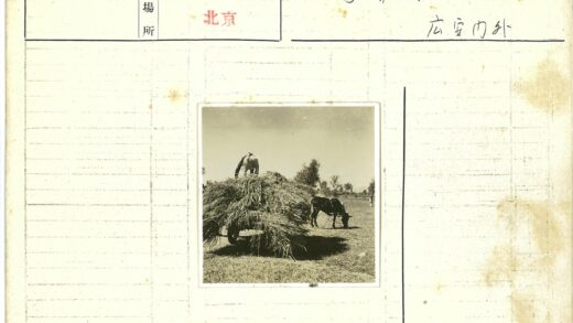 马车上的男人与草堆.jpg