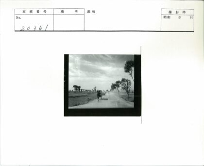 马车与摩托车行驶在田野道路.jpg