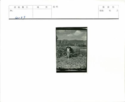 马车与自然风景人物照.jpg