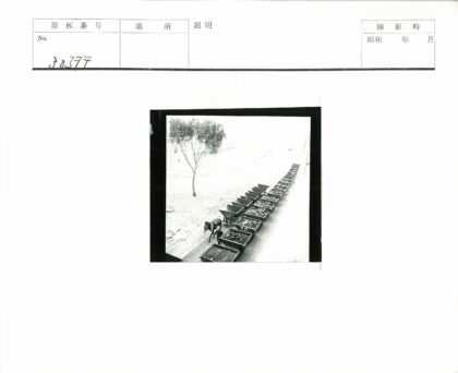 马车拉货行驶土路.jpg