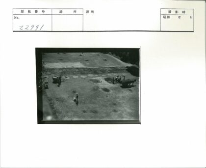 马车田野劳作场景.jpg