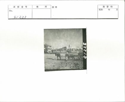 马车穿行明亮街景.jpg