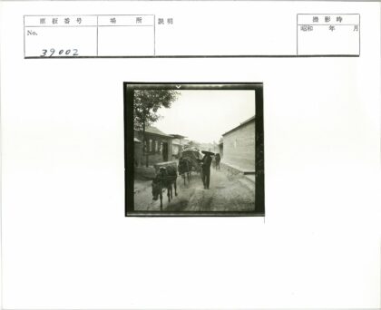 马车穿行砖房街道.jpg