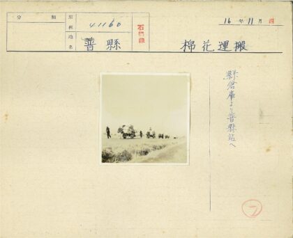 马车行进在开阔土路上.jpg