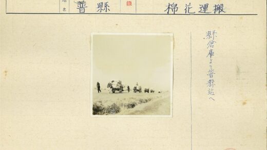 马车行进在开阔土路上.jpg