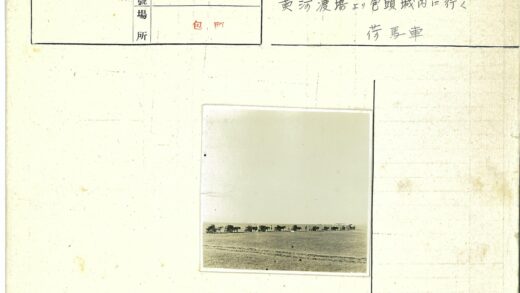 马车行驶在晴朗田野.jpg