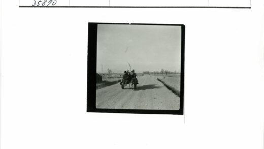 马车行驶在田野土路上.jpg