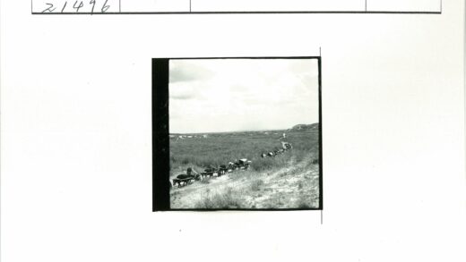 马车队行驶在草原土路上.jpg