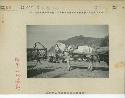 马车马匹市场山丘背景.jpg