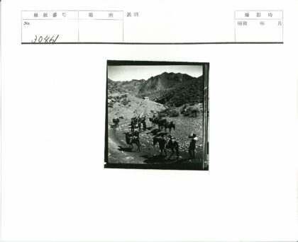 驮畜山路运输.jpg