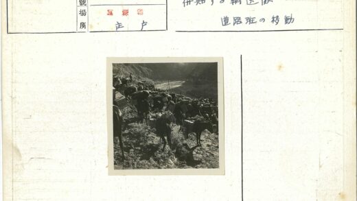 驮货骡队穿越山地.jpg