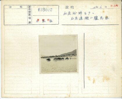 驮队穿越浅河绿岸远山.jpg