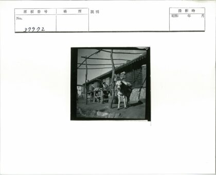 驴与两人木桌室外场景.jpg