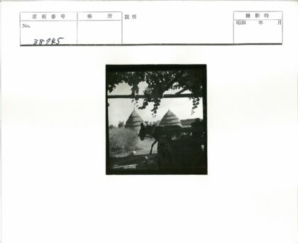 驴与农具的田园风光.jpg