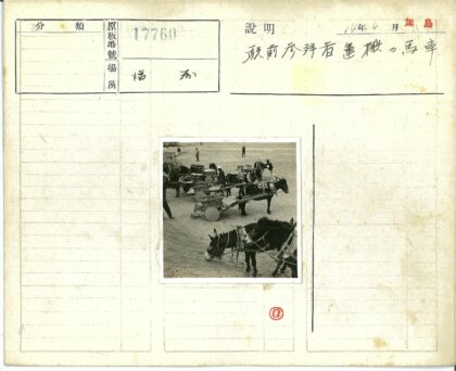 驴子拉车人群围观.jpg