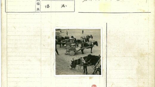 驴子拉车人群围观.jpg