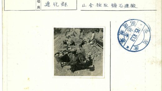 驴子搬运岩石的户外场景.jpg