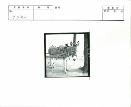 驴系树下配马具鞍袋.jpg