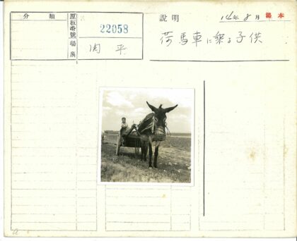 驴车孩童草地多云天空.jpg