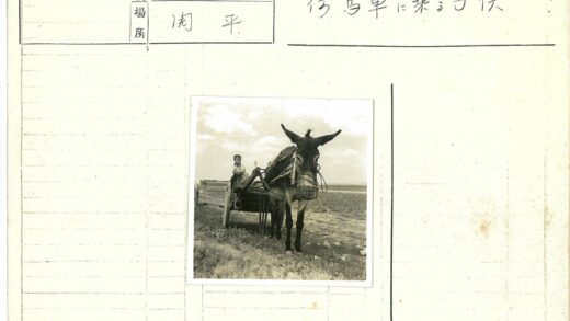 驴车孩童草地多云天空.jpg