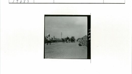 驴车行走土路孩童相伴.jpg