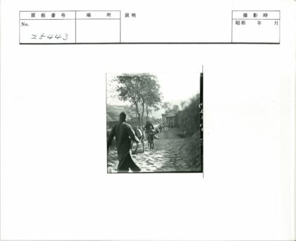 驴队驮货穿行山丘石巷.jpg