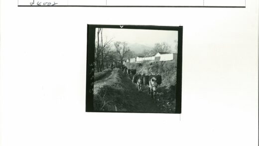 驴队驮货行经山路.jpg