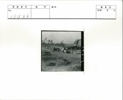 驴驮篮箱行田野石墙景.jpg