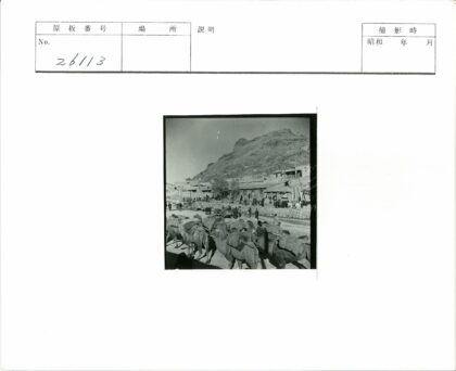 驼队村庄山景.jpg
