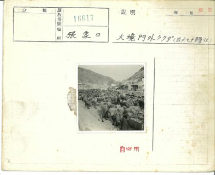 驼队穿行山间古道.jpg