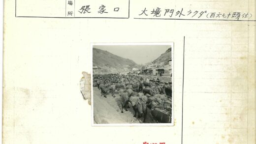 驼队穿行山间古道.jpg