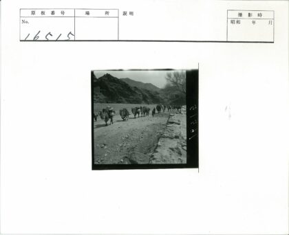 驼队穿越岩石山脉.jpg