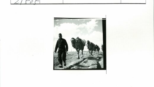 驼队穿越泥泞商路.jpg