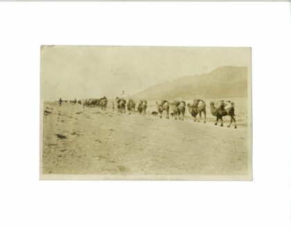 驼队穿越贫瘠群山.jpg