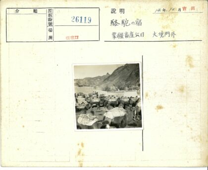 驼队聚集山地围场.jpg