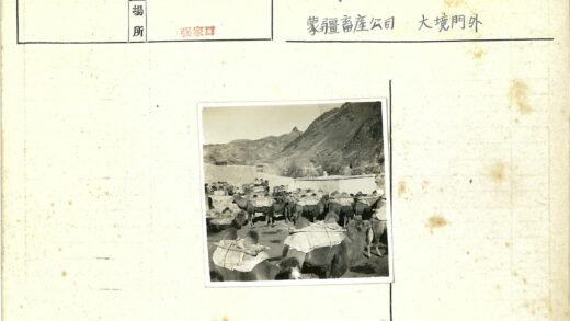 驼队聚集山地围场.jpg