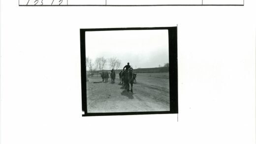驼队行于土路晴空枯树墙.jpg