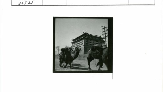 驼队途经传统建筑土路.jpg