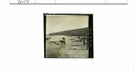 骆驼土路高墙天空.jpg