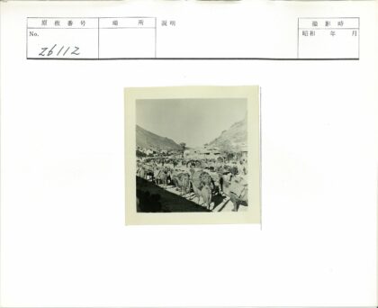骆驼市场与山脚建筑.jpg