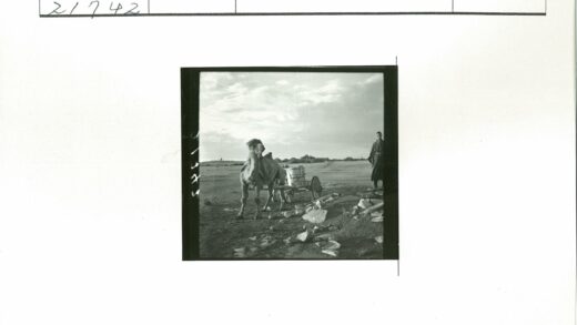 骆驼拉桶马车平原风景.jpg