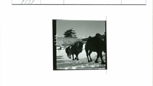 骆驼穿越雪地古建筑.jpg