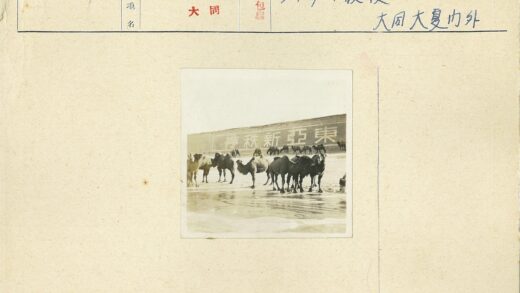 骆驼群与汉字墙的湿地背景.jpg
